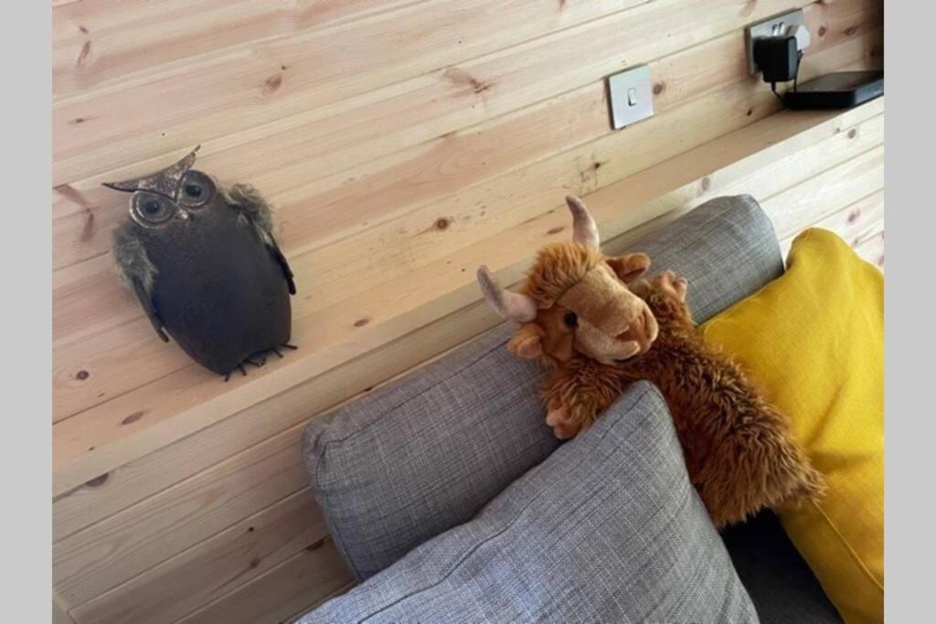 פורט אוגוסטוס Coorie Doon Cabin! Great Scottish Welcome מראה חיצוני תמונה